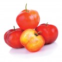 Acerola